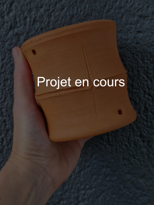 Projet chaine de pluie Toriceram
